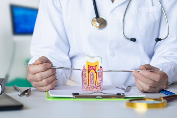 Best Emergency Wisdom Teeth Removal in Iowa Park, TX